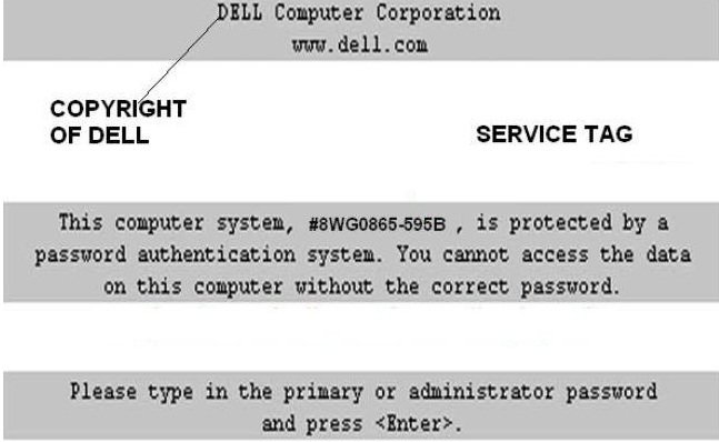 dell 595b bios password