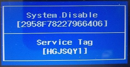 dell system disable bios password